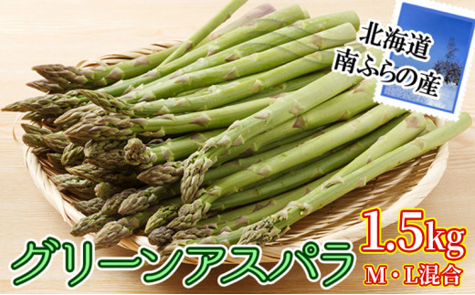 南ふらの産 グリーンアスパラ 1.5kg (M・L混合) 北海道 南富良野町 アスパラ アスパラガス 野菜 2024年発送 先行予約 590578 - 北海道南富良野町