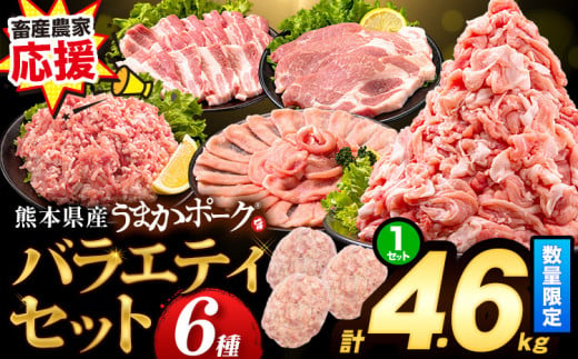 数量限定★生産者応援★ 豚肉 小分け バラエティ セット うまか ポーク 1セット しゃぶしゃぶ 切り落とし 豚ロース バラ 豚バラ 豚バラ肉 スライス 4.6kg 4600g 4kg 以上 真空 お楽しみセット 不揃い 数量限定 簡易包装 冷凍配送 《30日以内に出荷予定(土日祝除く)》※2セットは「種類」からお選びください※ 1386338 - 熊本県大津町