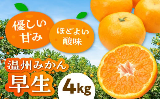 [先行予約][11月上旬から順次発送]本場ならではの品質!柑橘王国愛媛産温州みかん 早生 約4kg ＼レビューキャンペーン中/愛媛県大洲市/有限会社カーム/カームシトラス [AGBW003]果物 フルーツ みかん ミカン 温州みかん