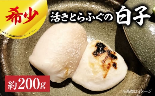 活きとらふぐの白子　約200g