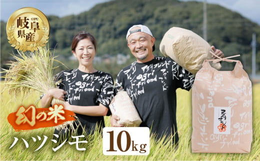 令和5年度産】 ハツシモ ( 精米 ) 10kg 有機肥料米 新米 幻の 米 こめ ごはん 白米 岐阜県産 本巣市 お米 玄米 精米 寿司 おすすめ  アグリフレンド - 岐阜県本巣市｜ふるさとチョイス - ふるさと納税サイト