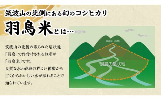 令和6年産 新米 】 茨城県産 コシヒカリ 「 羽鳥米 」 10kg ( 5kg × 2袋 ) 米 お米 コメ 白米 ごはん 精米 国産 茨城県  桜川市 限定 期間限定 数量限定 幻の米 [AX003sa] - 茨城県桜川市｜ふるさとチョイス -