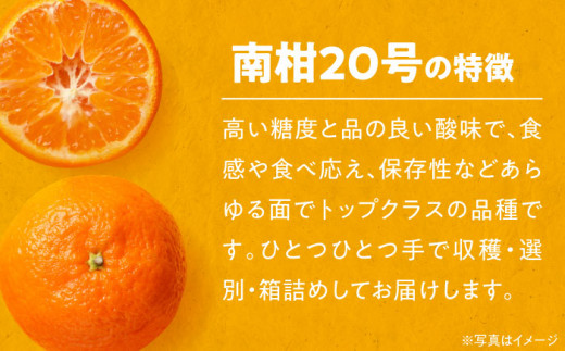 【先行予約】【12月上旬から順次発送】【まごころ手選り手詰め】温州みかん 南柑20号 5㎏