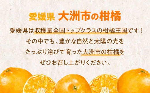 【先行予約】【12月上旬から順次発送】【まごころ手選り手詰め】温州みかん 南柑20号 5㎏