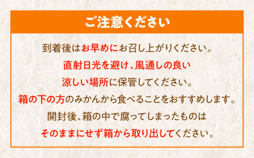 温州みかん 早生 約4㎏