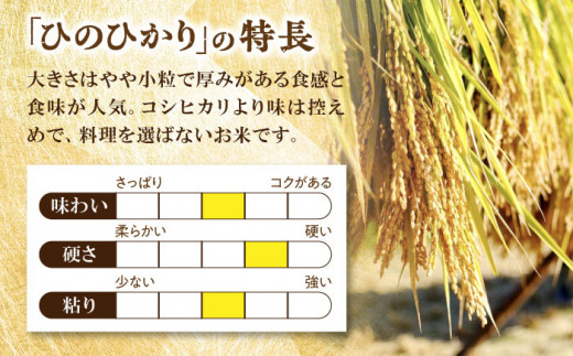 糸島産 雷山 のふもと 栽培期間中 農薬 不使用 の米 5kg ひのひかり ヒノヒカリ