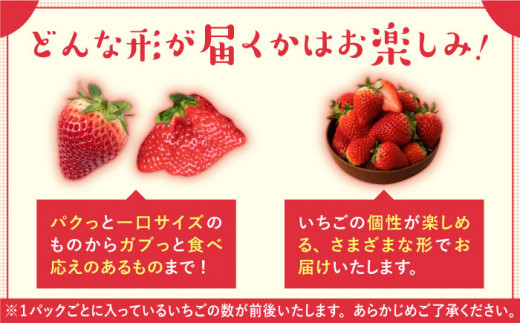 佐賀県白石町のふるさと納税 【先行予約】こだわり いちごさん 約230g×4パック（計920g以上）【高主いちご園】 [ICI001]