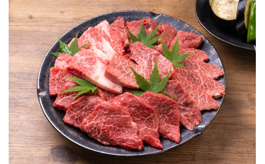 【毎月定期便】訳あり!【A4～A5】博多和牛焼肉切り落とし 500g 全12回　AO091 1091717 - 福岡県粕屋町