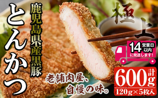 鹿児島県産 黒豚ロースとんかつセット(120g×5枚・計600g) 国産 黒豚 豚肉【佐多精肉店】A-25