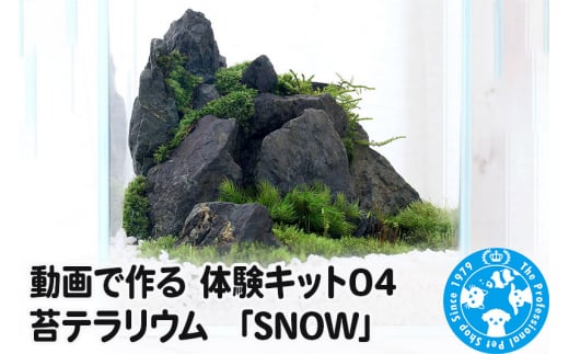 動画で作る 体験キット04 苔テラリウム 「SNOW」 1029800 - 群馬県邑楽町