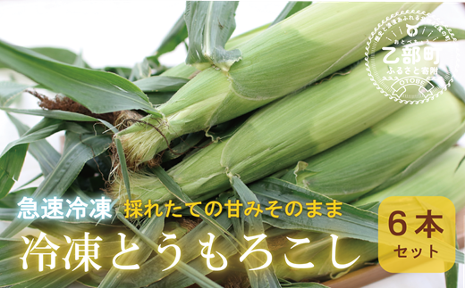 ＜ささや農園産　極★凍結　とうもろこし　6本＞北海道 道産 国産 乙部町 とうもろこし とうきび 冷凍 急速冷凍 鮮度そのまま 甘さ 糖度 個包装 ゴールドラッシュ 恵味ゴールド 1433930 - 北海道乙部町