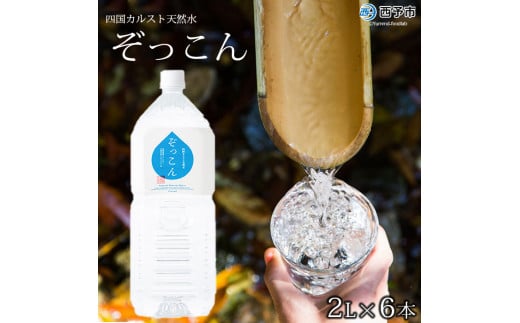 四国カルスト天然水ぞっこん1ケース（2L×6本）