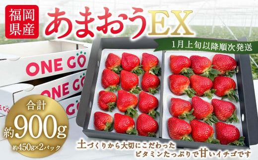 ギフト配送 福岡県産あまおう EX 約450g×2パック 合計約900g 〈特別栽培〉【2025年1月上旬～3月下旬発送予定】 1043200 - 福岡県直方市