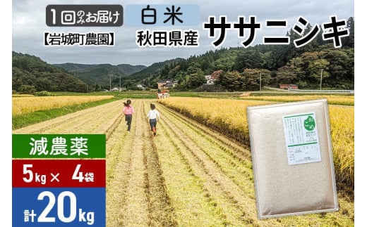 【白米】〈減農薬〉秋田県由利本荘市産 ササニシキ 20kg(5kg×4袋) 令和6年産 新鮮パック 低農薬 571537 - 秋田県由利本荘市