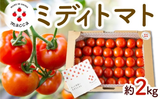 まっか農園 ミディトマト (約2kg) 2024年12月4日から2025年5月 お届け