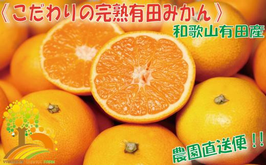 ＼農家直送／こだわりの完熟有田みかん Ｓサイズ約10kg【2024年11月中旬より順次発送】 481733 - 和歌山県九度山町