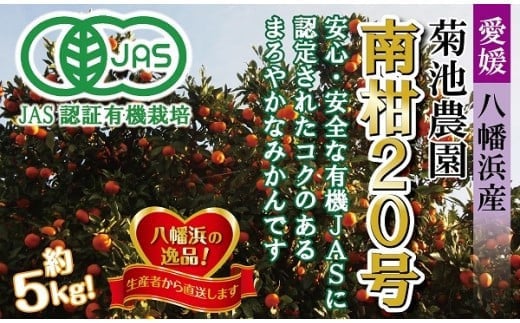 ＜JAS認証有機栽培＞濃厚な味わいの温州みかん!!菊池農園「南柑20号」5kg＜C39-23＞【1044610】 1332905 - 愛媛県八幡浜市