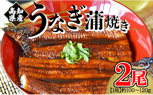 うなぎ蒲焼き 国産 鰻 2尾 100～120g 高知県産養殖うなぎ蒲焼き セット fb-0018