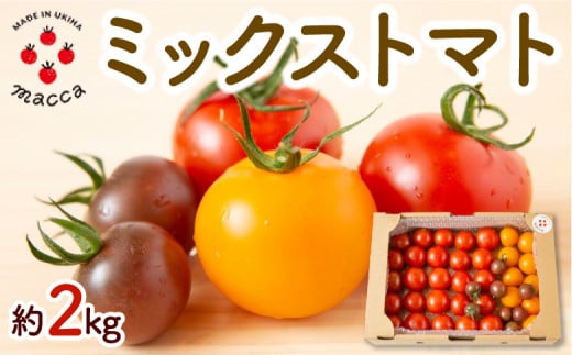 まっか農園 ミックストマト (約2kg) 2024年12月4日から2025年5月 お届け