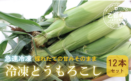 ＜ささや農園産　極★凍結　とうもろこし　12本＞北海道 道産 国産 乙部町 とうもろこし とうきび 冷凍 急速冷凍 鮮度そのまま 甘さ 糖度 個包装 ゴールドラッシュ 恵味ゴールド 1433929 - 北海道乙部町