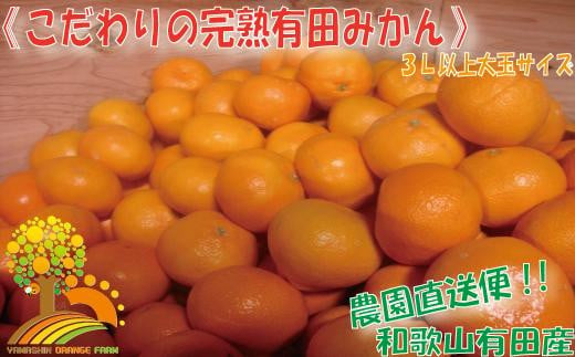 ＼農家直送／こだわりの大玉有田みかん 3Lサイズ以上約10kg【2024年12月より順次発送】 481737 - 和歌山県九度山町