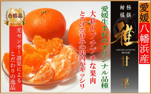 2025年2月発送開始　極撰柑橘“雅”光センサー合格品・高級柑橘「甘平 」2キロ  ＜C39-46＞【1380613】