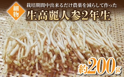 【長野県東御市産】栽培期間中出来るだけ農薬を減らして作った国産生高麗人参 2年生 細物 約200g（2024年10月中旬〜12月上旬頃お届け予定） 1386965 - 長野県東御市