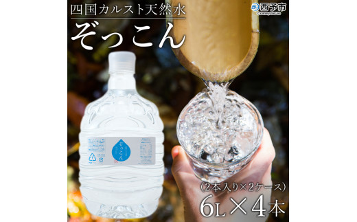 四国カルスト天然水ぞっこん(6L×2本)×2ケース 計4本