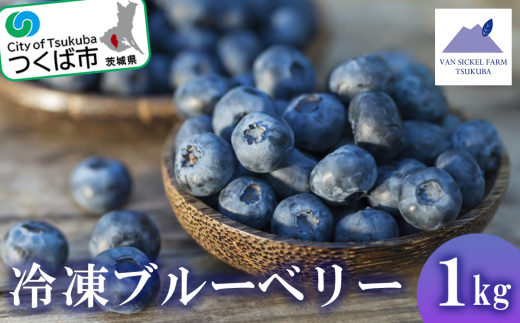 茨城県つくば市産 冷凍ブルーベリー　1kg【ブルーベリー 国産 ベリー スイーツ トッピング 栄養 ジャム 果実 果物 パンケーキ】 1417103 - 茨城県つくば市