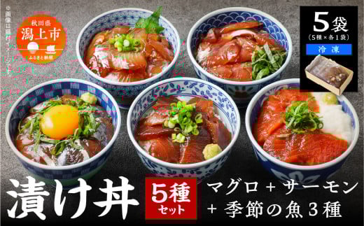 海鮮漬け丼セット 5種×1袋 60g×5袋  計300g 食べ比べ 訳アリ 訳あり 簡易包装 冷凍 海鮮丼 海鮮 マグロ サーモン タイ アジ イナダ 季節 魚 漬け 丼  魚介 簡単調理 お手軽 小分け パック 個包装 おすすめ  送料無料 【西村魚屋】 1180887 - 秋田県潟上市