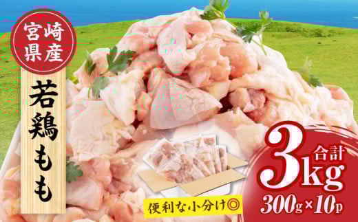 【2025年8月発送】宮崎県産 若鶏もも肉 300g×10P 計3kg_M241-001-aug 961432 - 宮崎県宮崎市