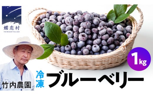 【数量限定】冷凍 ブルーベリー 1kg 国
