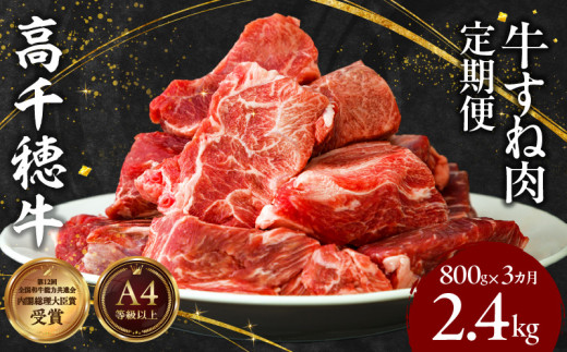 T-3【3ヶ月定期便】 高千穂牛 すね肉 400g×2パック×3回 和牛