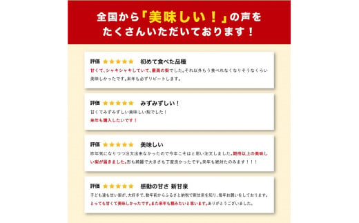 鳥取県鳥取市のふるさと納税 1519 新甘泉 3キロ(安田農園)