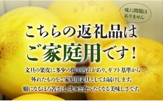 高知県香南市のふるさと納税 文旦10kg家庭用 高知 高知県 土佐文旦 2L～4Lサイズ 間城農園 高知 先行予約 期間限定 - 高知産 土佐文旦 柑橘 フルーツ 文旦 ぶんたん ブンタン 果物 ms-0053