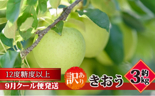 【9月クール便発送】（糖度12度以上）訳ありきおう約3kg【弘前市産 青森りんご】 1388645 - 青森県弘前市