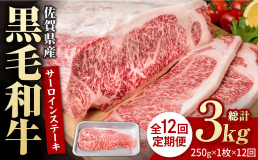 【12回定期便】佐賀県産 黒毛和牛 贅沢 サーロインステーキ 250g×1枚【株式会社いろは精肉店】/黒毛和牛 和牛 牛肉 肉 お肉 贅沢 高級 ステーキ  [IAG086] 304901 - 佐賀県白石町