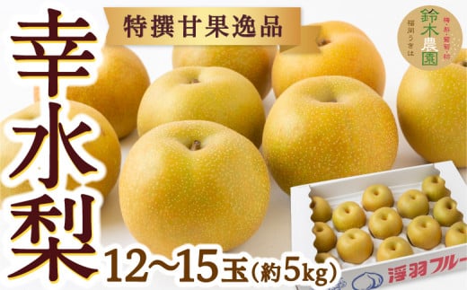 【先行予約】鈴木農園 特選甘果逸品 幸水梨 12玉から15玉 (約5kg) 2025年7月下旬から8月中旬 出荷予定 252963 - 福岡県うきは市