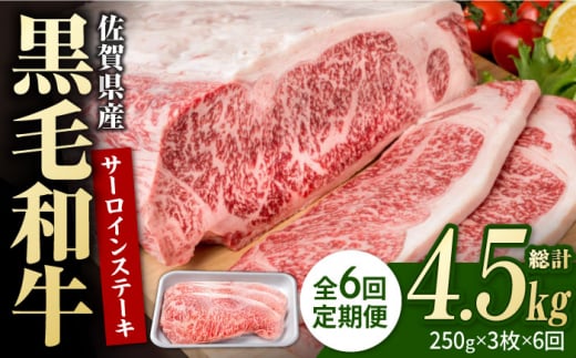 【6回定期便】佐賀県産 黒毛和牛 贅沢 サーロインステーキ 250g×3枚（計750g）【株式会社いろは精肉店】牛肉 国産 肉 和牛 サーロイン ステーキ 冷凍 白石町 九州 定期便 [IAG091] 304906 - 佐賀県白石町