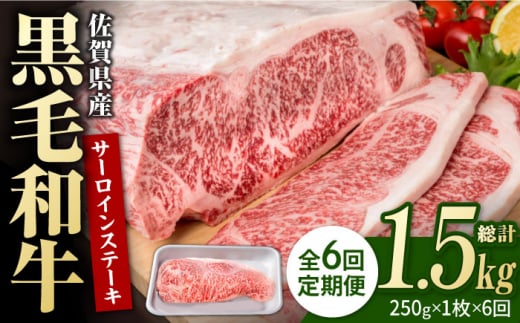 【6回定期便】佐賀県産 黒毛和牛 贅沢 サーロインステーキ 250g×1枚【株式会社いろは精肉店】/黒毛和牛 和牛 牛肉 肉 お肉 贅沢 高級 ステーキ  [IAG085] 304900 - 佐賀県白石町