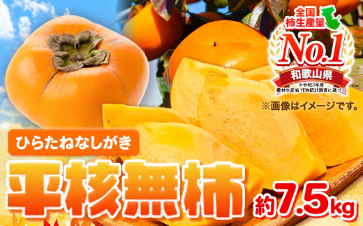 柿 先行予約 和歌山秋の味覚 平核無柿 ( ひらたねなしがき ) 約 7.5kg 株式会社魚鶴商店[2025年10月上旬-11月上旬頃出荷] 和歌山県 日高町 柿 カキ かき たねなし ジューシー フルーツ