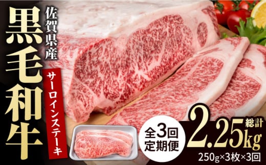 【3回定期便】佐賀県産 黒毛和牛 贅沢 サーロインステーキ 250g×3枚（計750g）【株式会社いろは精肉店】/黒毛和牛 和牛 牛肉 肉 お肉 贅沢 高級 ステーキ  [IAG090] 304905 - 佐賀県白石町