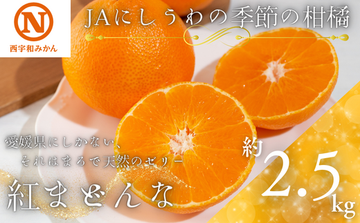 JAにしうわの季節の柑橘(紅まどんな 約2.5kg)＜F08-49＞【1443382】