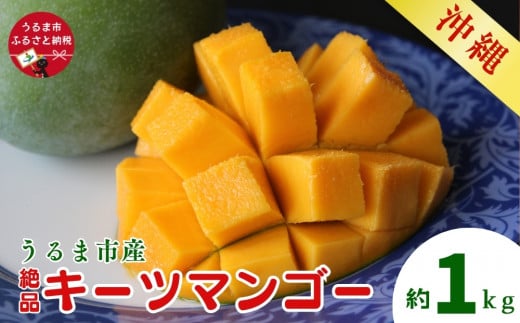 うるマルシェ厳選】野菜のプロが選んだ！絶品キーツマンゴー 約1kg 贈答用 ご自宅用 マンゴー 甘い 希少 緑のマンゴー - 沖縄県うるま市｜ふるさとチョイス  - ふるさと納税サイト