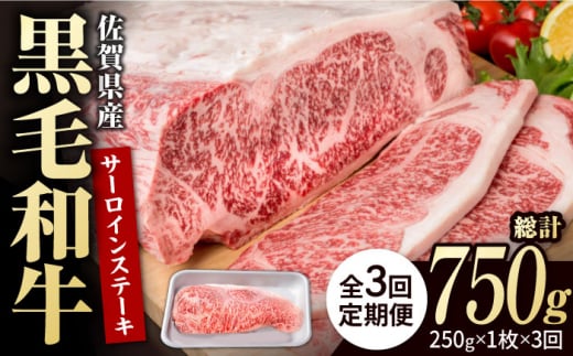 【3回定期便】佐賀県産 黒毛和牛 贅沢 サーロインステーキ 250g×1枚【株式会社いろは精肉店】 /黒毛和牛 和牛 牛肉 肉 お肉 贅沢 高級 ステーキ [IAG084] 304899 - 佐賀県白石町