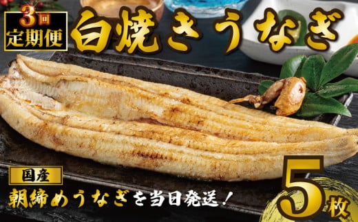 国産うなぎ 白焼き 5枚 1尾約120g 定期便3回 うなぎ 鰻 白焼き 蒲焼 うな重 鰻丼 うな丼 ひつまぶし 土用の丑の日 土用丑 魚 海鮮 魚介類 肉 肝 レバー 冷蔵 おつまみ おかず 惣菜 酒 ビール 焼酎 日本酒 ウイスキー チューハイ お取り寄せ ギフト プレゼント 贈答 贈答用 贈り物 内祝い お中元 お歳暮 母の日 父の日 敬老の日 千葉県 銚子市 有限会社石毛川魚店 1550114 - 千葉県銚子市