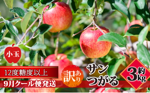 【9月クール便発送】（糖度12度以上）訳あり小玉サンつがる約3kg【弘前市産 青森りんご】 1388650 - 青森県弘前市