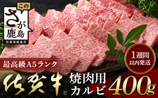 [最速!1週間以内発送!]佐賀牛 最上級A5ランク カルビ焼き肉用400g