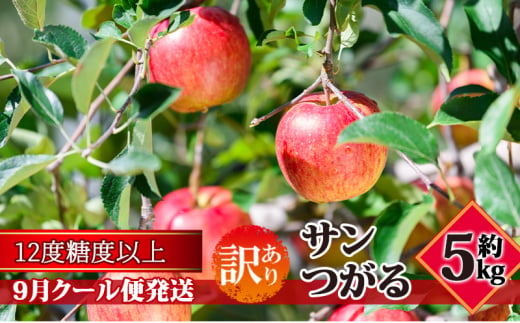 【9月クール便発送】（糖度12度以上）訳ありサンつがる約5kg【弘前市産 青森りんご】 1388646 - 青森県弘前市