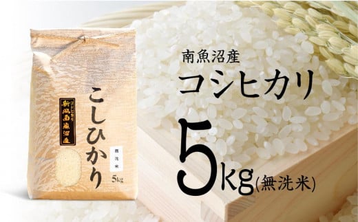 【令和6年産 新米】南魚沼産コシヒカリ（無洗米）【5kg】【令和7年1月以降発送】【米 お米 こしひかり 南魚沼 米 無洗米 こめ 新潟 米】